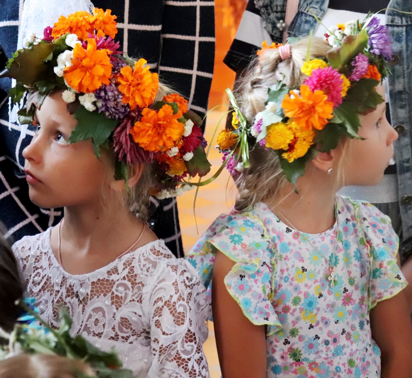 Изображение 416